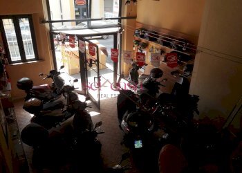 Locale Commerciale Grosseto - foto 7