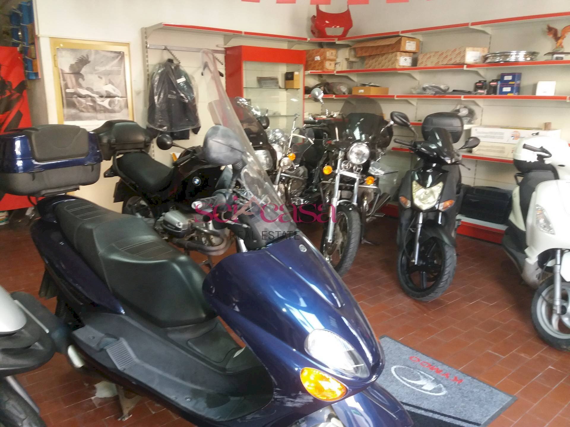 Locale Commerciale Grosseto - foto 2