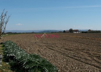 Rustico Grosseto - foto 20