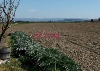 Rustico Grosseto - foto 21