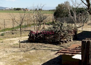 Rustico Grosseto - foto 22