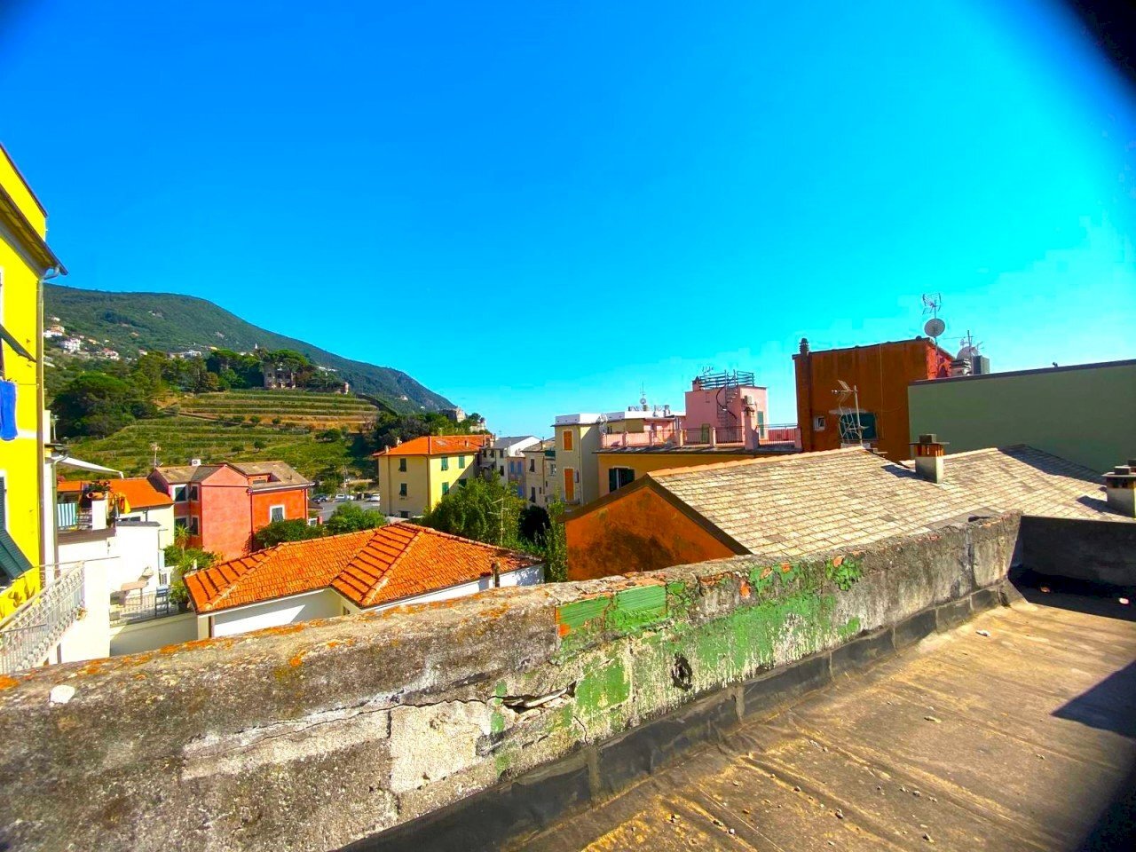 WhatsApp Image 2024-08-13 at 11.17.13.jpeg - Terratetto - Terracielo Moneglia - foto 3