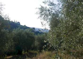 Terreno edificabile Strada Ciaixe, Camporosso - foto 2