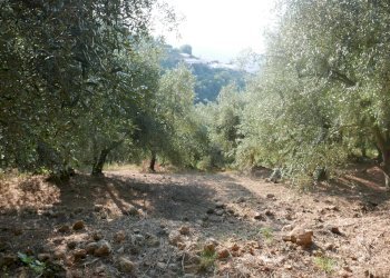 Terreno edificabile Strada Ciaixe, Camporosso - foto 5