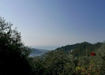 Terreno edificabile Strada Ciaixe, Camporosso - foto 9