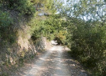 Terreno edificabile Strada Ciaixe, Camporosso - foto 10