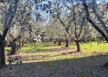 Appartamento Via degli Etruschi, Trequanda - foto 11