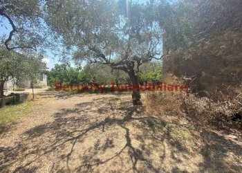 Terreno - Appartamento contrada Scunchipani Oleastro d'Inveges, Sciacca - foto 8