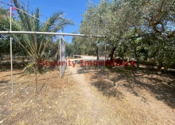 Terreno - Appartamento contrada Scunchipani Oleastro d'Inveges, Sciacca - foto 9