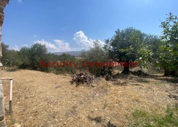 Terreno - Appartamento contrada Scunchipani Oleastro d'Inveges, Sciacca - foto 11