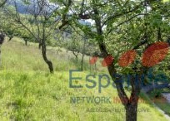 Casa semi indipendente Camugnano - foto 48