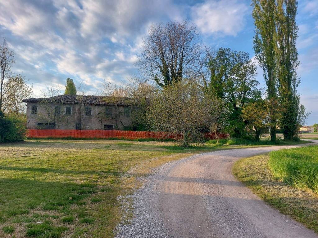 Terreno - Rustic via Fascinata, 105A, Argenta - photo 2