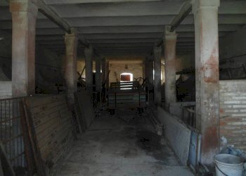 Box auto - Rustico via Fascinata, 105A, Argenta - foto 15