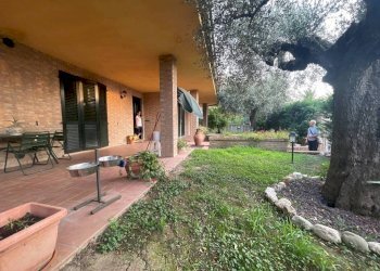 Giardino - Villa Morciano di Romagna - photo 2