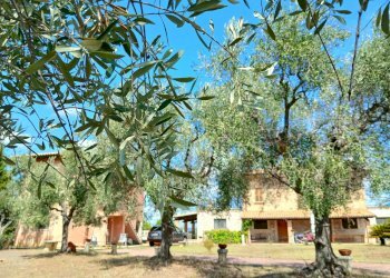 20240820_121526.jpg - Independent house Ancarano - photo 4