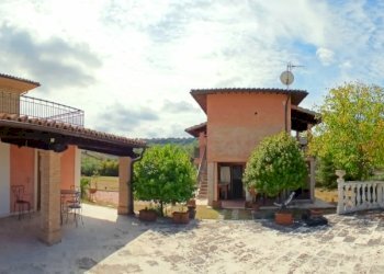 20240820_115817.jpg - Independent house Ancarano - photo 6