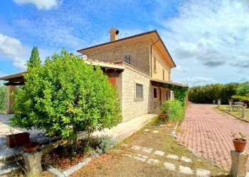 20240820_115654_1.jpg - Independent house Ancarano - photo 19