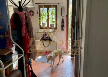 IMG-20230330-WA0014.jpg - Villa Valle Cannobina - foto 18