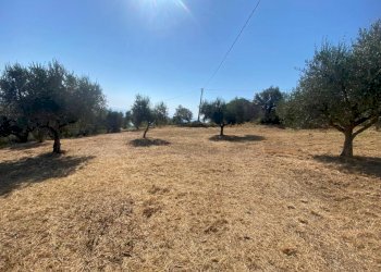 6.jpg - Porzione di casa Contrada Stagliano, Silvi - foto 16