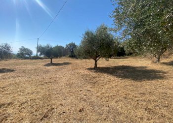 7.jpg - Porzione di casa Contrada Stagliano, Silvi - foto 17