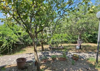 Villa Località Calleo, Torre Orsaia - foto 21