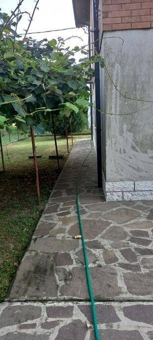 Giardino - Villa via Palmiro Togliatti, Concordia sulla Secchia - foto 1