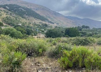 Vista - Terreno edificabile via Aldo Moro, Carini - foto 5