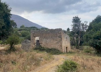 Terreno - Terreno edificabile via Aldo Moro, Carini - foto 7