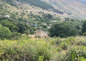 Vista - Terreno edificabile via Aldo Moro, Carini - foto 9