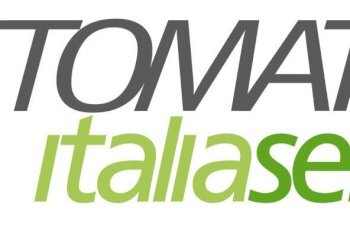 lottomatica.jpg - Bar - Tabacchi - Ricevitoria Lucca - foto 3