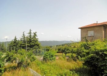 Casa indipendente Niella Belbo - foto 6