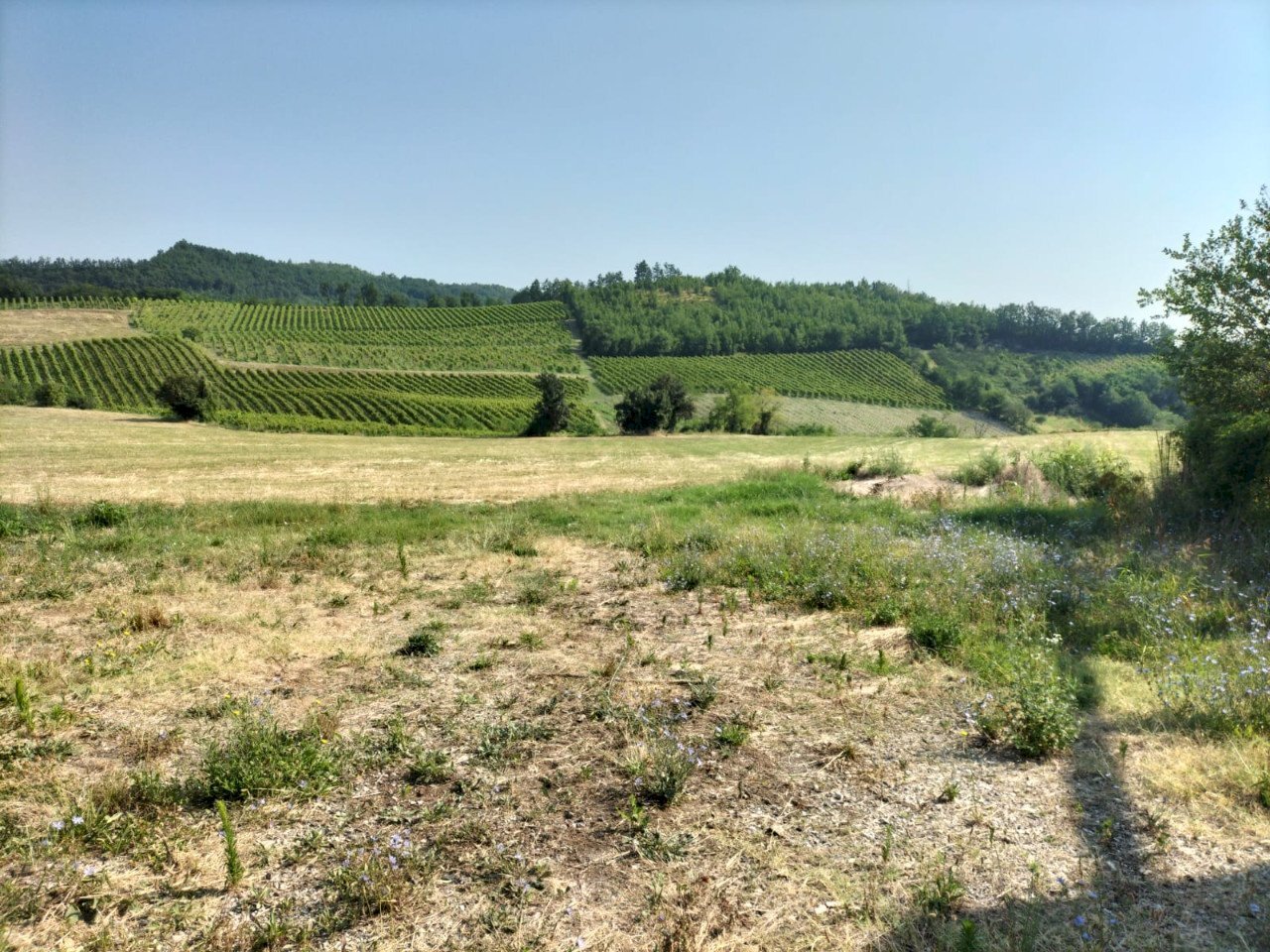 Casa indipendente Vigolzone - foto 2