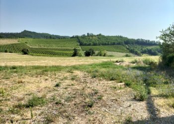 Casa indipendente Vigolzone - foto 2