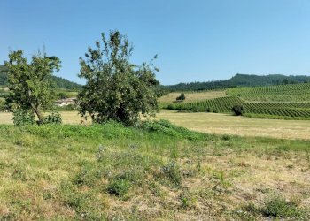 Casa indipendente Vigolzone - foto 9