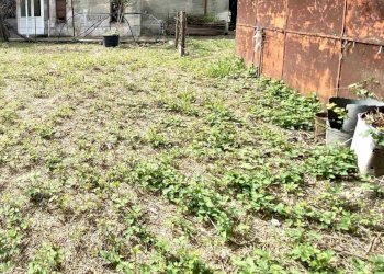 1269334-mvo7f4hv.jpg - Villa a Schiera Via Pometo 10, Carrara - foto 5