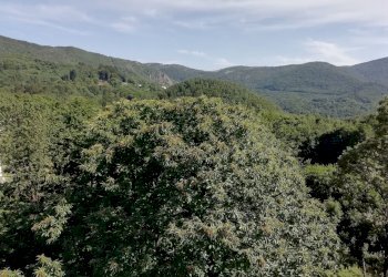 VARA SKYLINE.jpg - Appartamento SP40 71, Urbe - foto 29