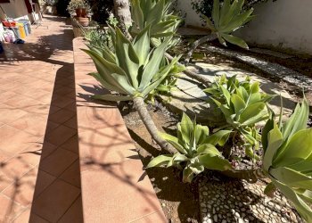 IMG_8247.JPG - Villa Mazara del Vallo - foto 30