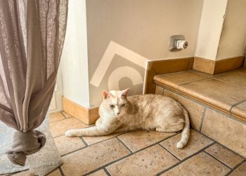 63EC5917-C888-4F65-817B-A3B21A180431.jpeg - Appartamento Jesi - foto 8