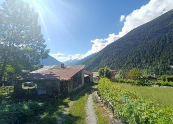 Terreno edificabile Frazione Dialley, frazione Dailley, Morgex - foto 3