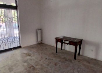 Shop Reggio nell'Emilia - photo 10