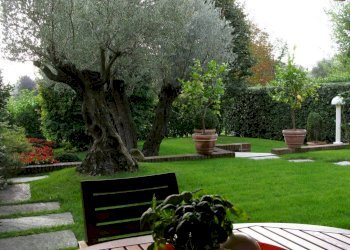 Giardino - Villa viale Cappuccini, 41, Chieri - foto 2