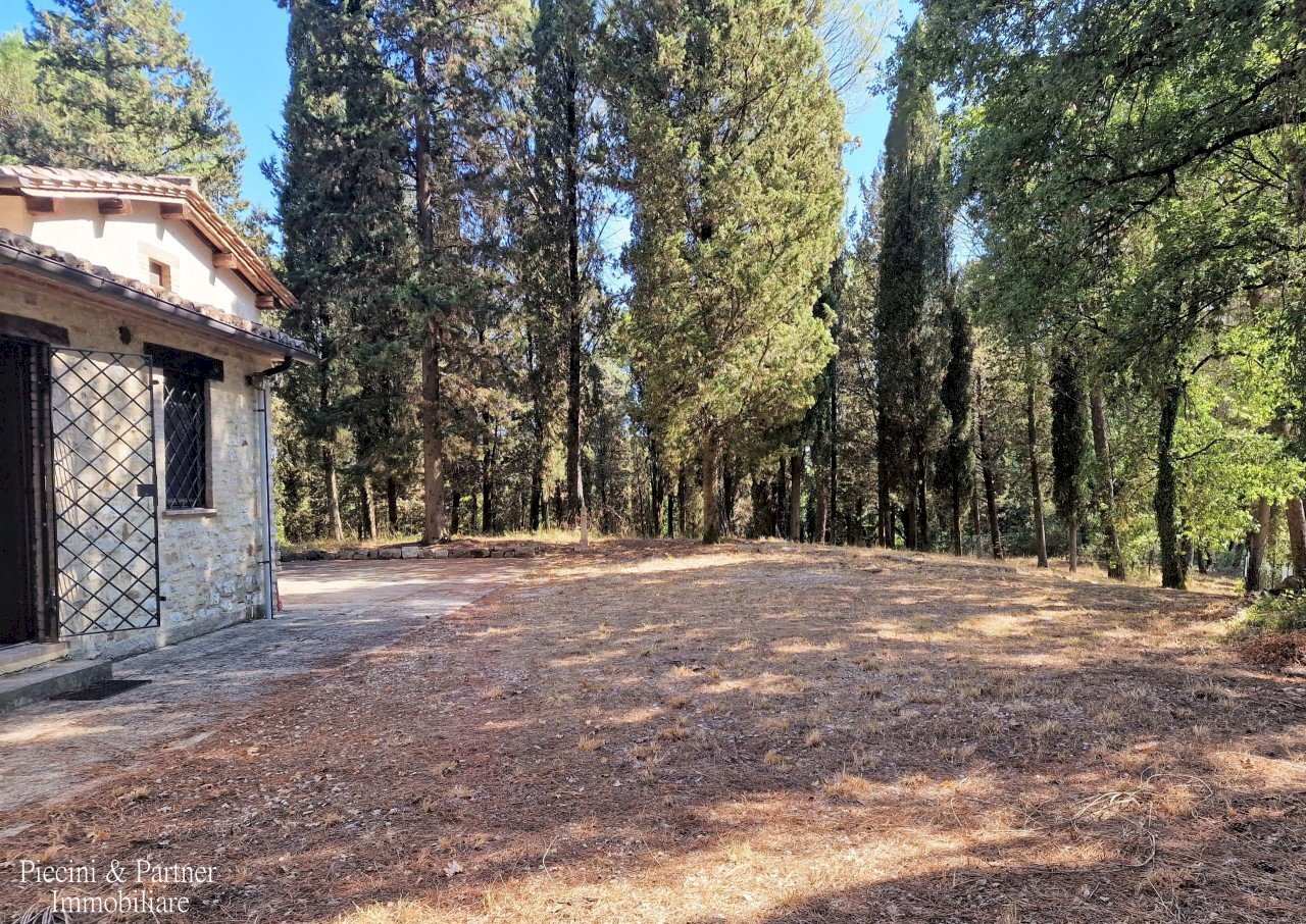 03.jpg - Casale Ex S. Maria, Umbertide - photo 3