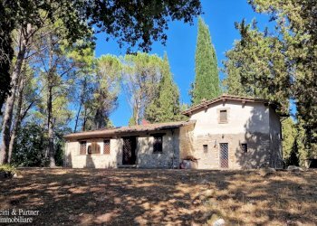 02.jpg - Casale Ex S. Maria, Umbertide - foto 2