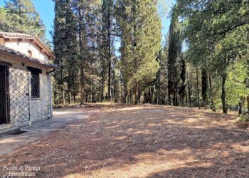 03.jpg - Casale Ex S. Maria, Umbertide - foto 3