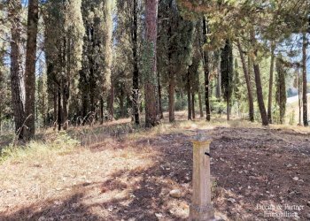 07.jpg - Casale Ex S. Maria, Umbertide - foto 7