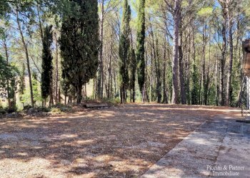 09.jpg - Casale Ex S. Maria, Umbertide - foto 9