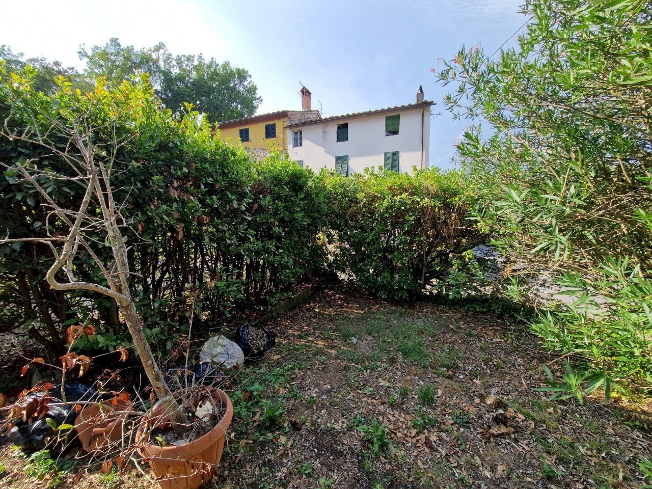 20240826_170037.jpg - Terratetto - Terracielo Via della Billona 1961, Lucca - foto 1