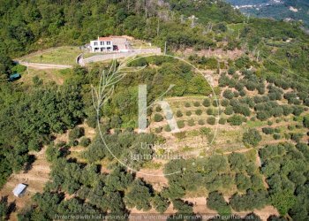 DJI_0430.jpeg - Villa Via Parodi, Quiliano - foto 11