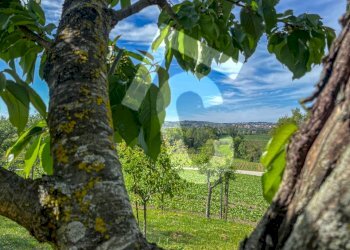 14360086-2D77-40A3-B2CA-993244C4972F.jpeg - Terreno edificabile Jesi - foto 8