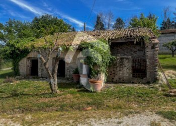 60C436AE-22B1-4CEE-A6ED-45E911C709BE.jpeg - Terreno edificabile Jesi - foto 12